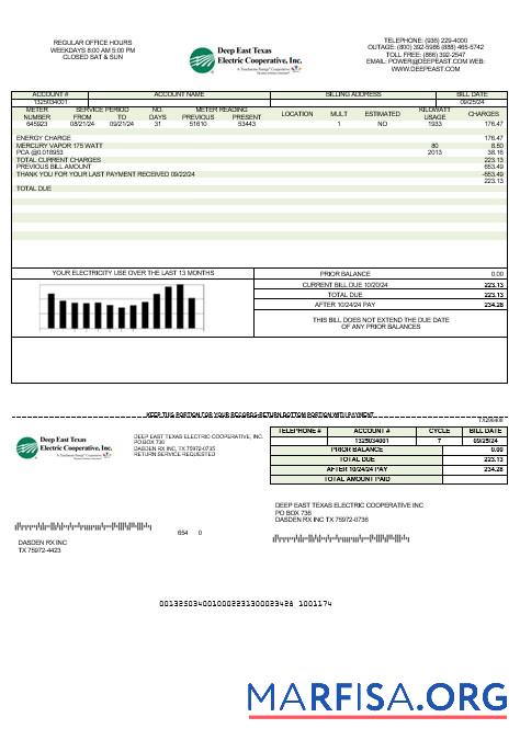 Realistic USA Deep East Texas Electric business utility bill template in Word and PDF formats